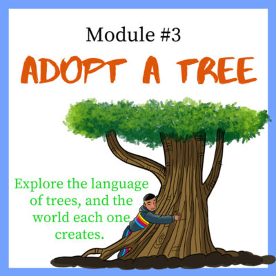 Module #3 Adopt a Tree
