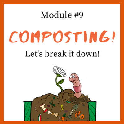 Module-#9 - Composting